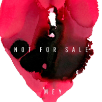 Not For Sale (Single)