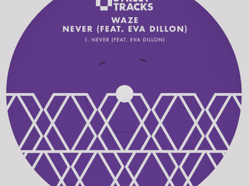 Never (feat. Eva Dillon) (Single)