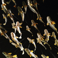 El Camino Que Va Al Mar (Single)