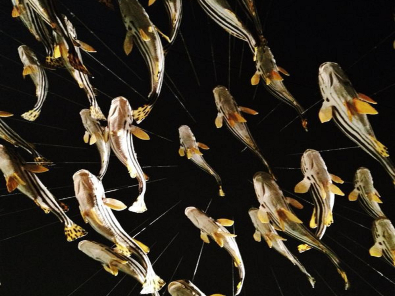 El Camino Que Va Al Mar (Single)