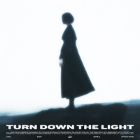 Turn Down The Light (Single)