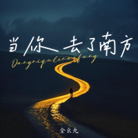 当你去了南方 (DJ睿睿版) (Single)