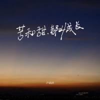 苦和甜，都叫成长 (Single)