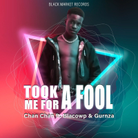 Took Me For A Fool (Single)