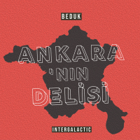 Ankara'nın Delisi