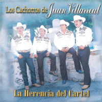 La Herencia del Cartel