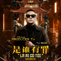 Là Ai Có Tội (T. A Remix Chinese Version) (Single)