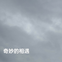 奇妙的相遇 (Single)