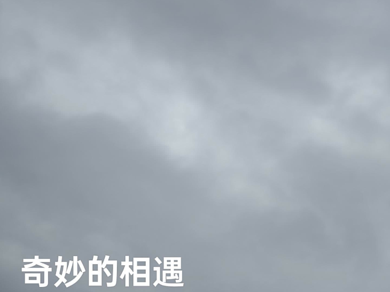 奇妙的相遇 (Single)