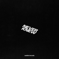 Never Knew (Single)