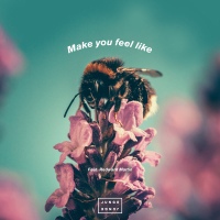 Make You Feel Like (Single)