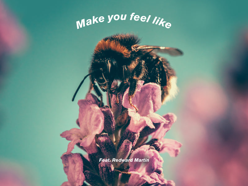 Make You Feel Like (Single)