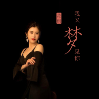 我又梦见你 (Single)
