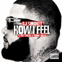 How I Feel (feat. Zoey Dollaz & Young Breed)