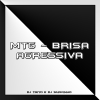 MTG - BRISA AGRESSIVA (Single)