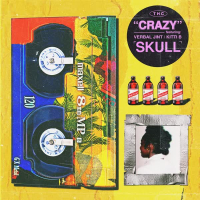CRAZY (Feat. Verbaljint, KittiB) (Single)