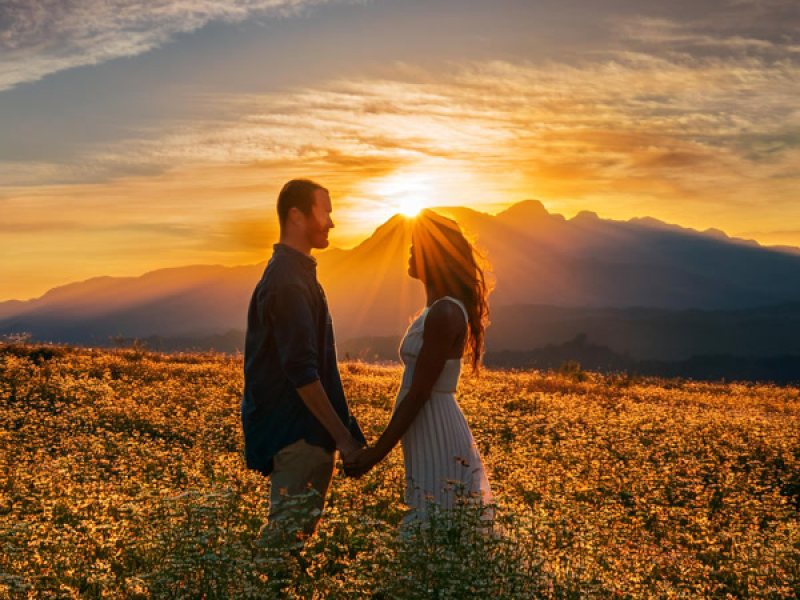 I'm Falling Into You (Single)