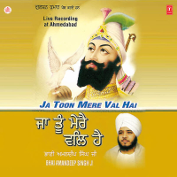 Ja Toon Mere Val Hai (Single)