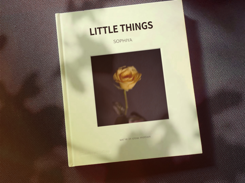 Little Things (Single)