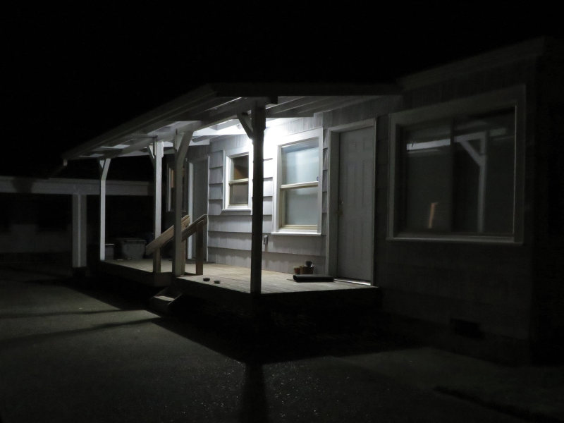 Birds Tricked into the Trees (Single)