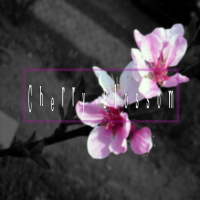 Cherry Blossom (feat. 윤가람) (Single)