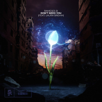 Don't Need You (Single)