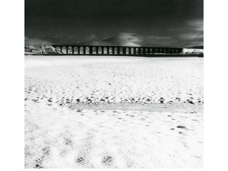 Somewhere Called Home