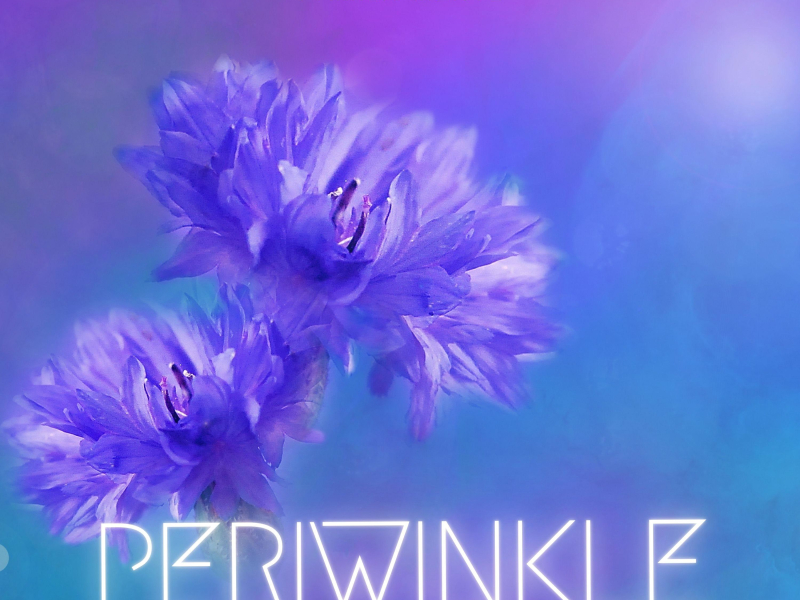 periwinkle (Single)
