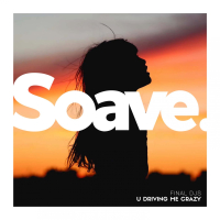 U Driving Me Crazy (Single)