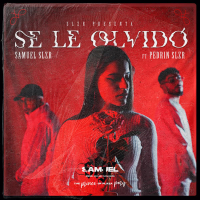 Se Le Olvidó (Single)