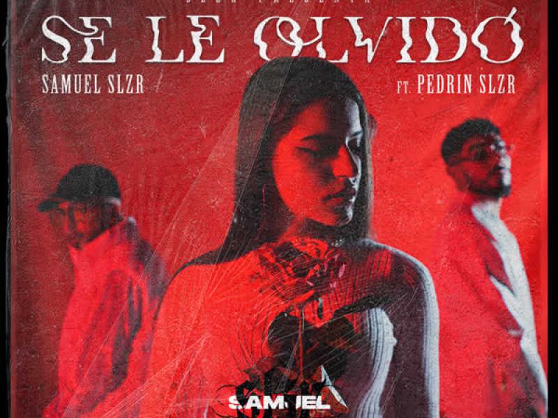 Se Le Olvidó (Single)