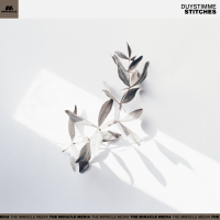 Stitches (Single)