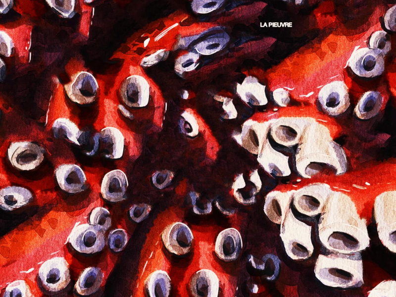La pieuvre (EP)