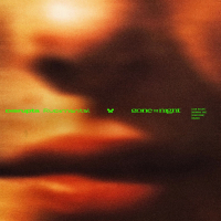 Gone For The Night (Single)