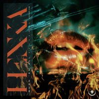 Burn 'em All (Single)