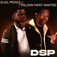 DSP (Drink, Sex, Party) (Single)