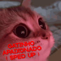 Gatinho Apaixonado (Sped Up) (Single)