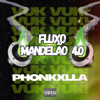 Fluxo Mandelão 4.0 (EP)
