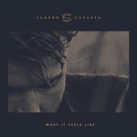 What It Feels Like (Single)