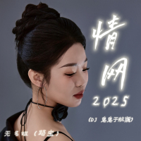 情网2025 (DJ鬼鬼于航版) (Single)