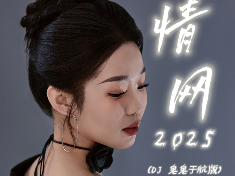 情网2025 (DJ鬼鬼于航版) (Single)