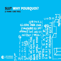 Why Pourquoi (I Think I Like You) (Single)