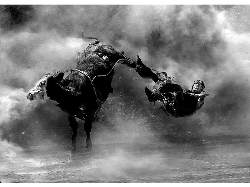 Irresistible (Single)