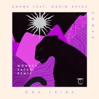 Power (Monkey Safari Remix) (Single)