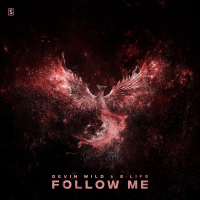 Follow Me (Single)