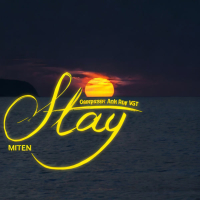 Stay (Single)