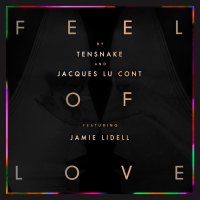 Feel Of Love (MV) (Single)