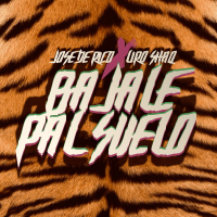 Bájale Pal Suelo (Single)