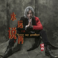 永远不要说再见 (Single)