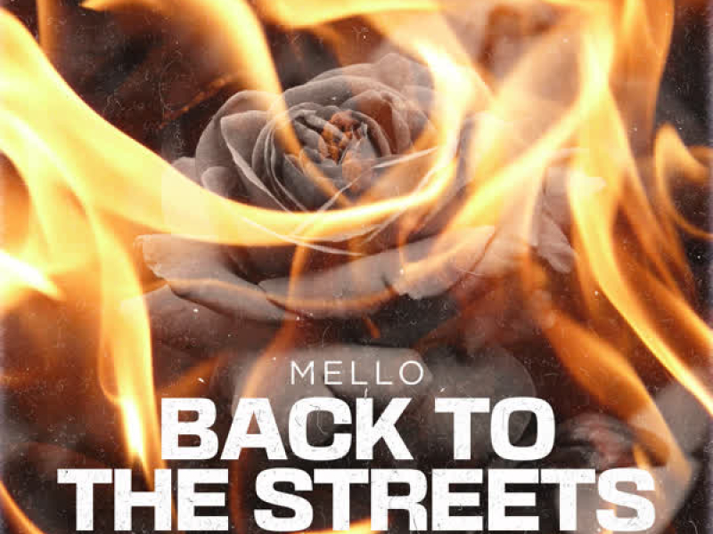 Back to the streets (Single)